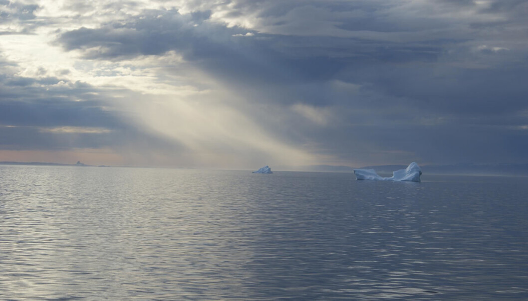 Up until now the Arctic has been a polar desert with a dry and cold climate. However, with temperatures increasing, even in the far north, the level of precipitation has increased alongside the increasing temperatures. (Photo: Wikimedia Commons) Up until now the Arctic has been a polar desert with a dry and cold climate. However, with temperatures increasing, even in the far north, the level of precipitation has increased alongside the increasing temperatures. (Photo: Wikimedia Commons)
