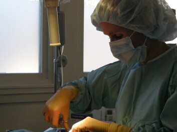 Testicles are loosened from the tissue and removed as a dog is neutered. (Photo: Mosengs Dyreklinikk) Testicles are loosened from the tissue and removed as a dog is neutered. (Photo: Mosengs Dyreklinikk)