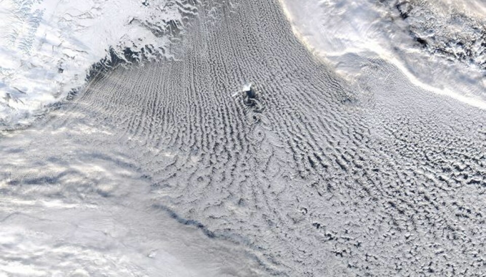 Satellite image showing clouds over the Greenland Sea downstream of the ice edge during conditions where there was a large transfer of heat and moisture from the ocean to the atmosphere. (Photo: NASA)