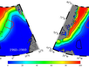 Winter sea ice concentration (% of surface area) in the Nordic Seas during the 1960s and the 2000s. The magenta and black curves denote the regions in the Greenland and Iceland Sea where oceanic convection occurs. (Photo: Kent Moore)
Winter sea ice concentration (% of surface area) in the Nordic Seas during the 1960s and the 2000s. The magenta and black curves denote the regions in the Greenland and Iceland Sea where oceanic convection occurs. (Photo: Kent Moore)