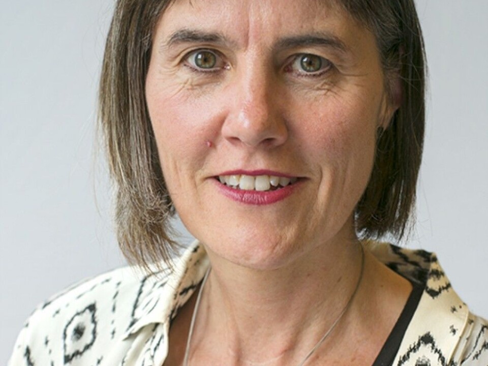 Professor Mette Halskov Hansen is head of the Airborne project, which is studying how the extreme problems of pollution in China appear to be driving new visions of sustainability, but also new ways of creative interaction. (Photo: Annica Thomsson.)