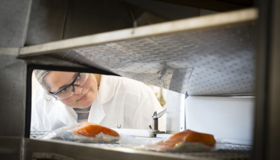Food retains its freshness longer if it is kept in a state somewhere between fresh and frozen. This method ought to be more widely used because it helps to improve the utilisation of raw materials and to reduce waste, believe scientist Ingrid Claussen at Sintef. (Photo: Thor Nielsen)