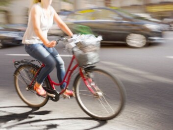 Another kind of cyclist is the basket-on-handlebars rider, mostly 40-, 50- and 60-year olds. They are basically very cautious, but can easily be a bit unpredictable, according to Bjørnskau. (Photo: Microstock) Another kind of cyclist is the basket-on-handlebars rider, mostly 40-, 50- and 60-year olds. They are basically very cautious, but can easily be a bit unpredictable, according to Bjørnskau. (Photo: Microstock)