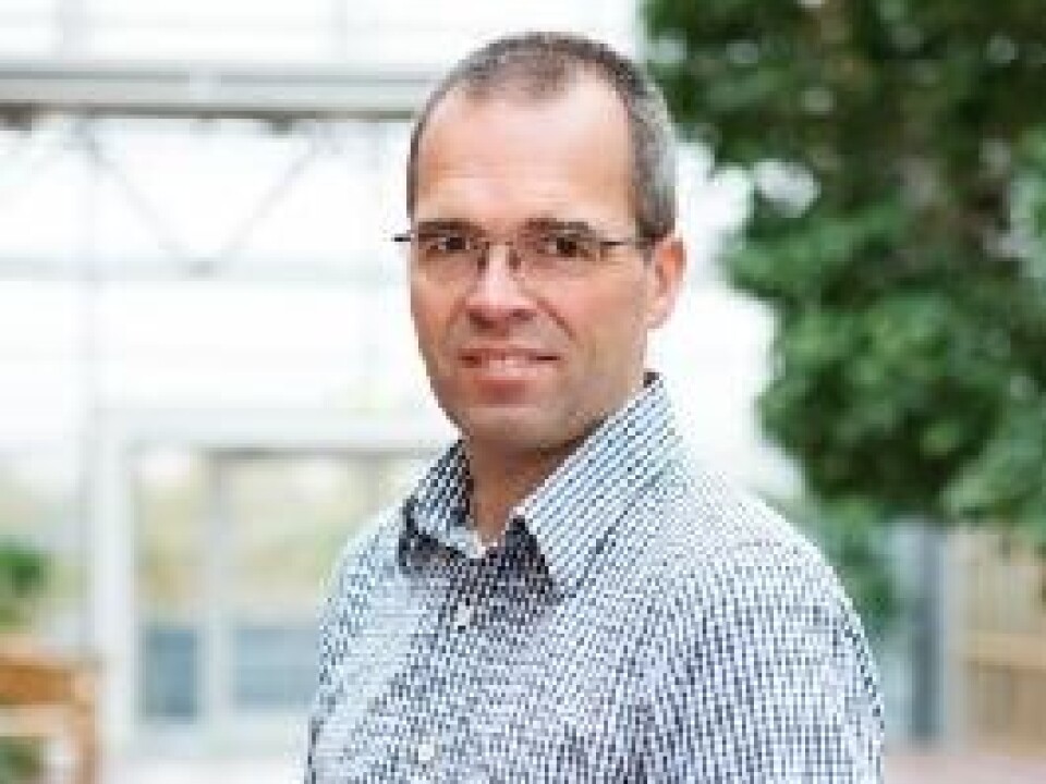 Ragnar Torvik, professor of economics at NTNU. (Photo: NTNU)