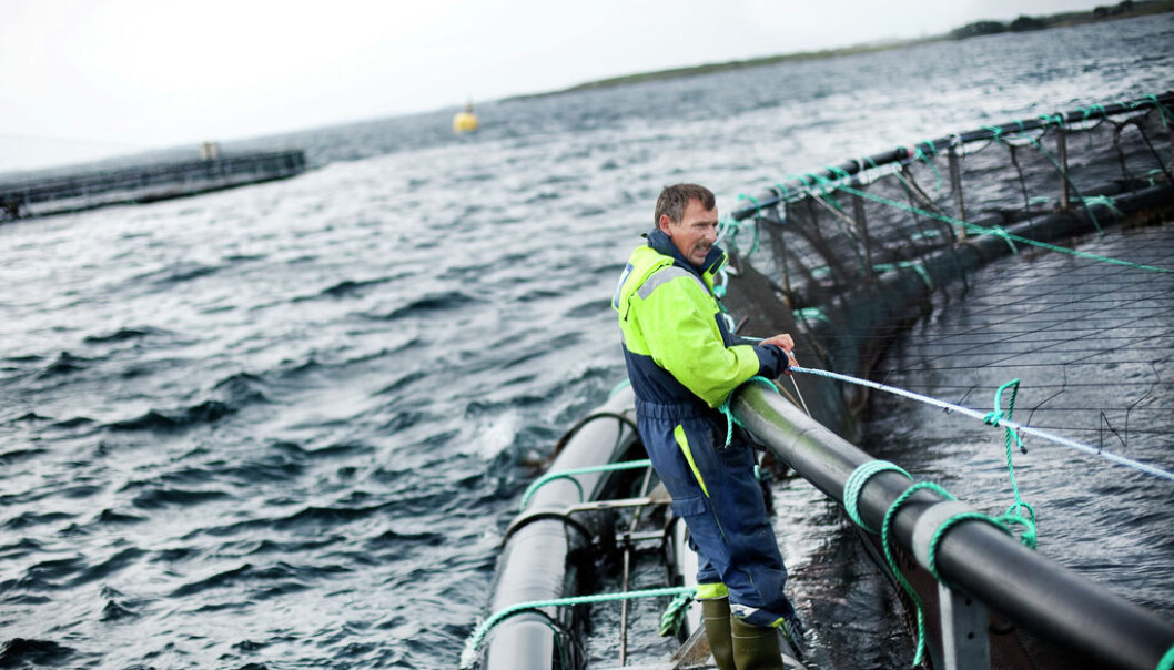 Animal welfare also applies to domestic animals under water - floating cages in Rogaland, south west Norway. (Photo: FHL, Seafood Norway) Animal welfare also applies to domestic animals under water - floating cages in Rogaland, south west Norway. (Photo: FHL, Seafood Norway)