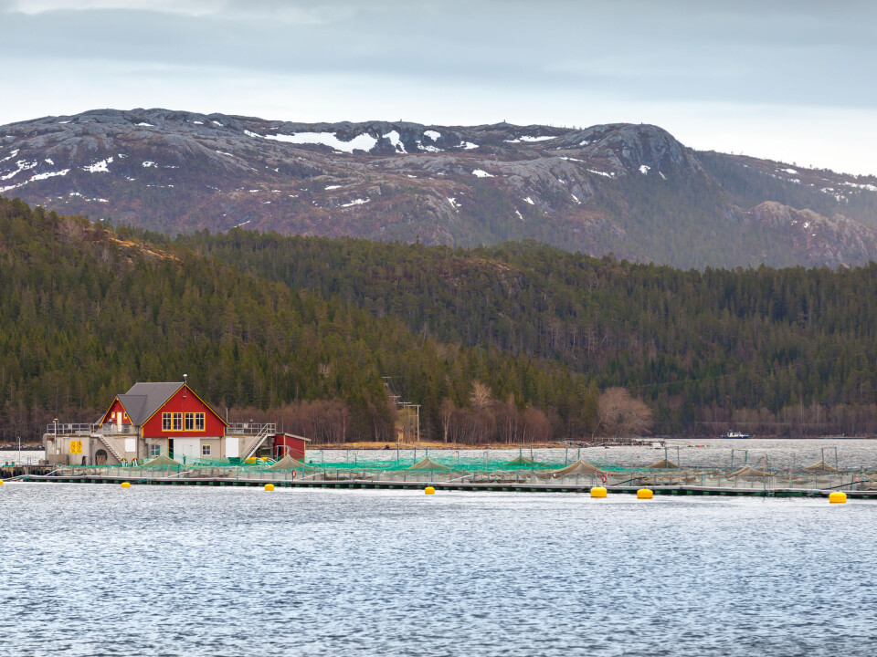 Many Norwegians have visited a farmyard but only a very few have been to a salmon farm. (Illustration photo: Microstock)