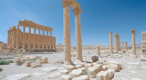 Researchers have feared and expected continued destruction in Palmyra