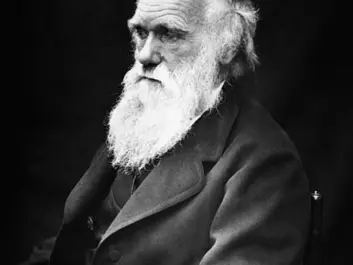 Charles Darwin, here at age 60 in 1869. (Photo: J. Cameron, Wikimedia Commons)