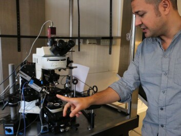 Researchers can use highly sensitive optical microscopes to look into larval zebrafish brains. (Photo: Nancy Bazilchuk, NTNU) Researchers can use highly sensitive optical microscopes to look into larval zebrafish brains. (Photo: Nancy Bazilchuk, NTNU)