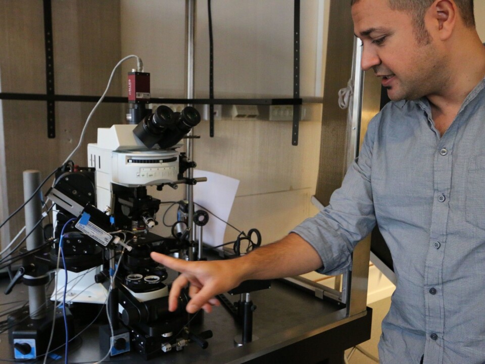 Researchers can use highly sensitive optical microscopes to look into larval zebrafish brains. (Photo: Nancy Bazilchuk, NTNU)