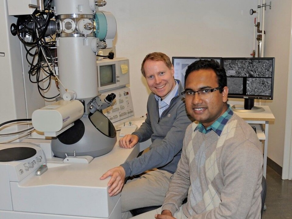 Tor Paaske Utheim and Rakibul Islam (from the left.) at the Institute for Oral Biology. They research how to cure certain kinds of blindness in a global context. (Photo: Per Gran, OD/UiO)