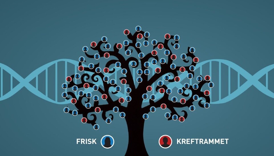Thirty of one hundred family members were stricken with cancer. This is the first time in Norwy that a family has been tested with a new genetic test at NTNU and St. Olavs Hospital. (Illustration: Kolbjørn Skarpnes, NTNU)