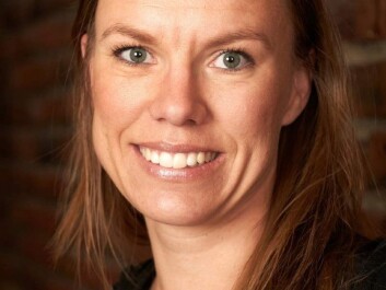 Signe Bock Segaard says that Estonia has made great strides in e-voting. (Photo: Institute for Social Research) Signe Bock Segaard says that Estonia has made great strides in e-voting. (Photo: Institute for Social Research)