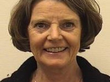 Bodil Kleve. (Photo: Oslo and Akershus University College) Bodil Kleve. (Photo: Oslo and Akershus University College)