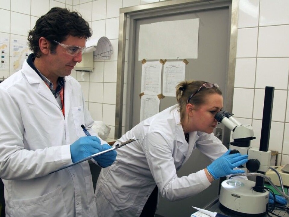 Adam Lillicrap and Ailbhe Macken. (Photo: Harald Borchgrevink Bonaventura)