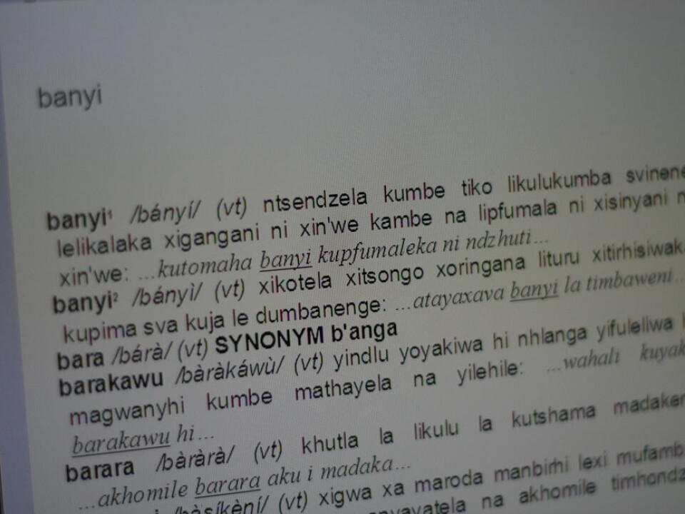 A page from one of the coming Changana dictionaries that will be one of the dictionaries from the cross-border language project.(Photo: Susan Johnsen)