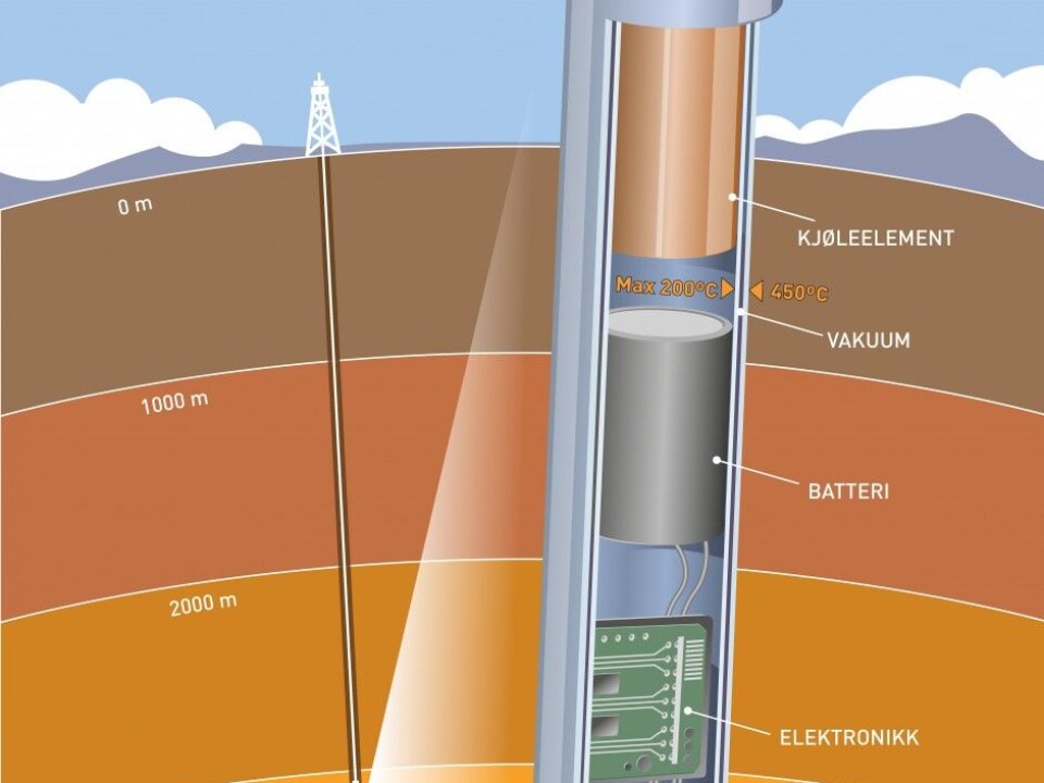 (Illustration: Doghouse)