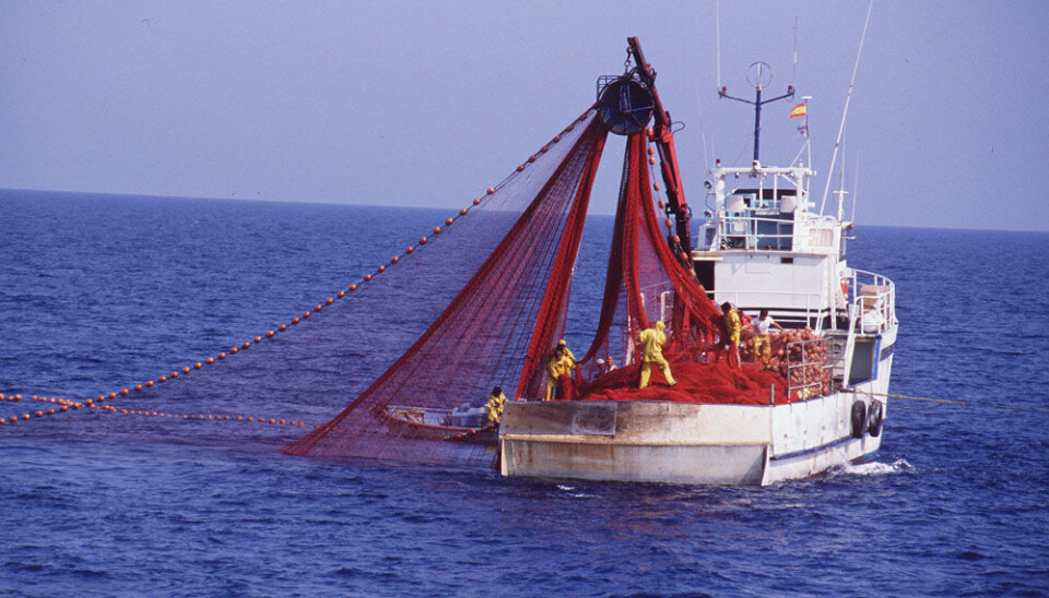 The desire to improve safety at sea must come from the fishermen themselves. (Photo: Colourbox)
