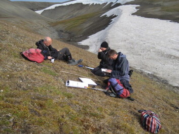 A team of scientists have retraced the footsteps of another group of researchers, who first mapped the vegetation here in the 1960s and 1970s. (Photo: Rene van der Wal/The Conversation) A team of scientists have retraced the footsteps of another group of researchers, who first mapped the vegetation here in the 1960s and 1970s. (Photo: Rene van der Wal/The Conversation)