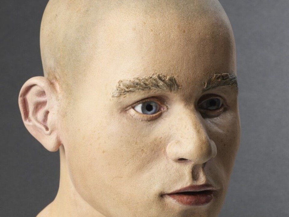 A reconstruction of how the Viste Boy may have looked like, based on the assumption that it was a boy. (Photo: Terje Tveit, Arkeologisk museum, Universitetet i Stavanger)