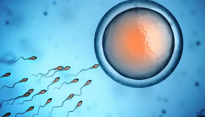 Obesity can be passed on through the father’s sperm