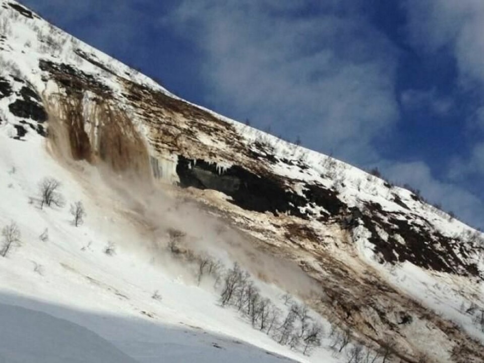 Farestveit witnessed this second avalanche that released in Kvassdalen. (Photo: NPRA)