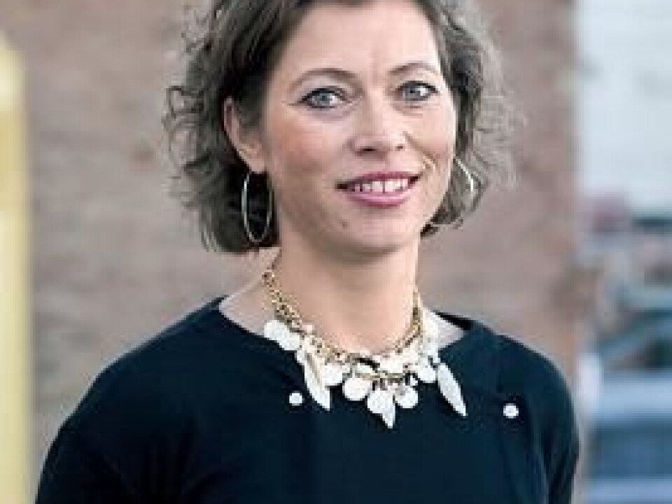Associate Professor Therese Sverdrup, Department of Strategy and Management, NHH. (Photo: NHH)