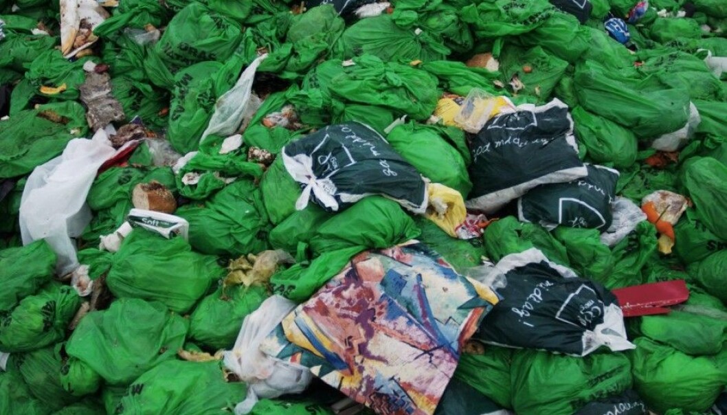 More of our scraps of unwanted food now get separated from other household garbage such as paper and plastics. Oslo residents place such organic material from their kitchens into special green plastic bags provided by the municipality. But this does not solve the overall problem of consumers buying and throwing out too much food. (Photo: Ove Bergersen, Samfoto, NTB scanpix) More of our scraps of unwanted food now get separated from other household garbage such as paper and plastics. Oslo residents place such organic material from their kitchens into special green plastic bags provided by the municipality. But this does not solve the overall problem of consumers buying and throwing out too much food. (Photo: Ove Bergersen, Samfoto, NTB scanpix)