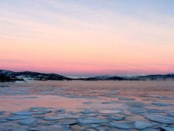Kari Leibowitz took this photo of the fjord and the sky outside Tromsø. Being able to see the beauty of the winter light is not an obvious ability. It is probably something you have to learn, or train yourself to do, much like the ability to see beauty in art. Perhaps this is why so many Norwegians have the ability to see the beauty in a blue winter landscape. (Photo: Kari Leibowitz) Kari Leibowitz took this photo of the fjord and the sky outside Tromsø. Being able to see the beauty of the winter light is not an obvious ability. It is probably something you have to learn, or train yourself to do, much like the ability to see beauty in art. Perhaps this is why so many Norwegians have the ability to see the beauty in a blue winter landscape. (Photo: Kari Leibowitz)