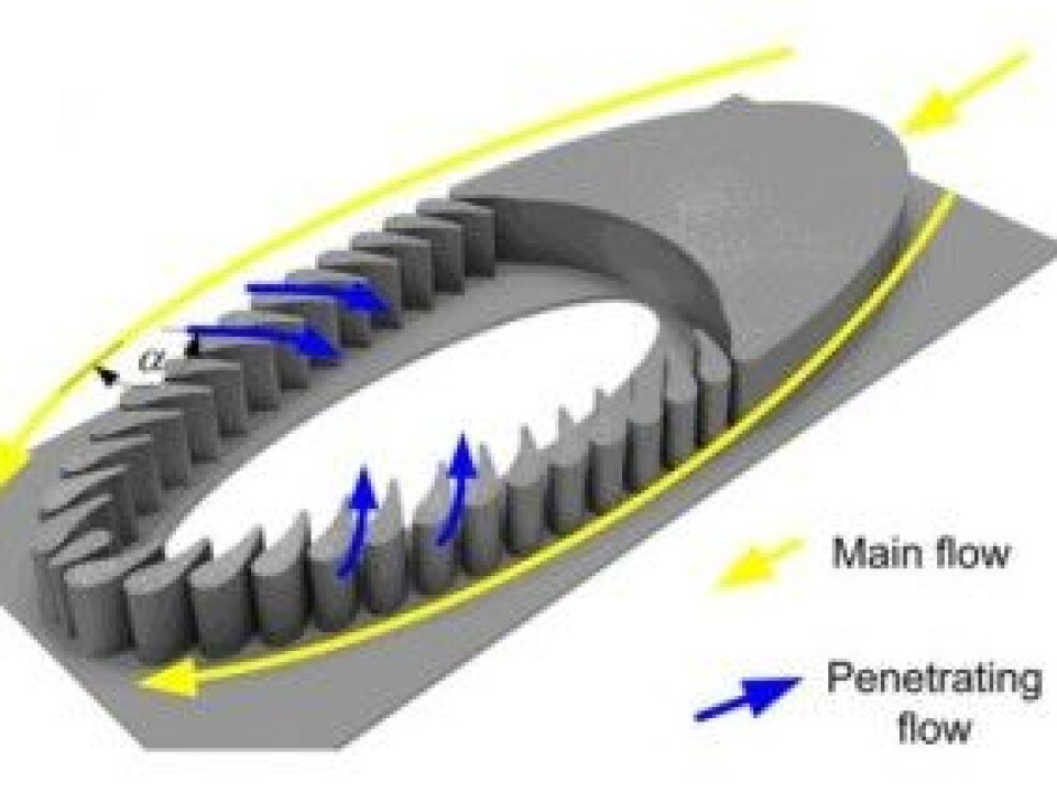 The figure illustrates how the water flows around and through the trilobite. Solid particles are filtered out as water passes through the gaps between the micro-pillars. (Illustration: Sintef)