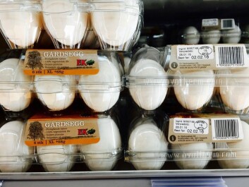 Eggs can be edible long after their “Best before” date has passed, which is why they are marked with this type of labelling. (Photo: Bård Amunden, forskning.no) Eggs can be edible long after their “Best before” date has passed, which is why they are marked with this type of labelling. (Photo: Bård Amunden, forskning.no)