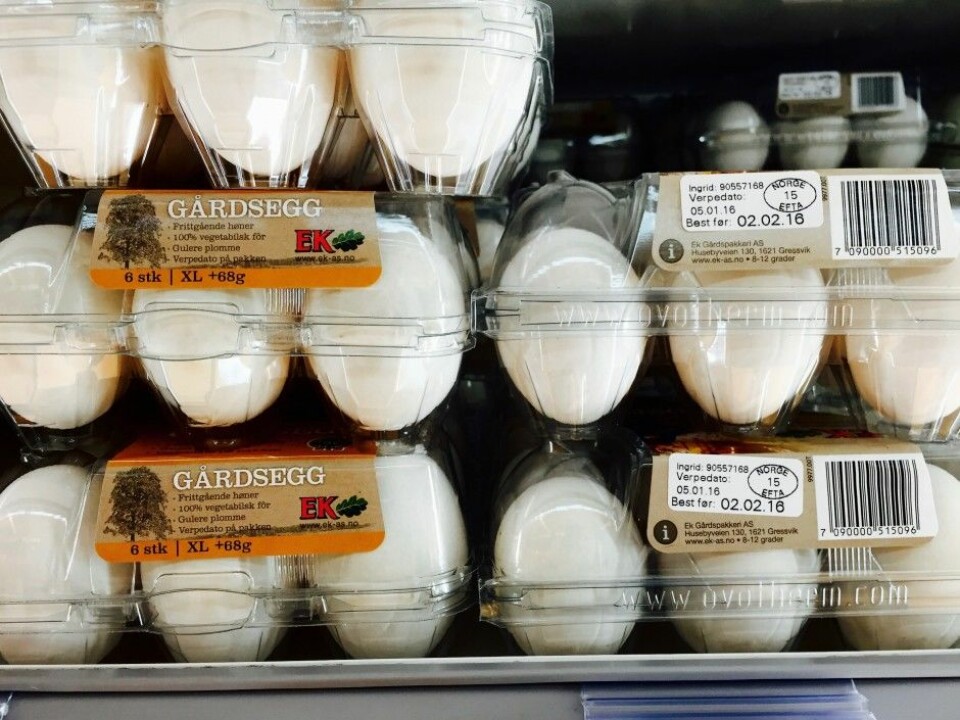Eggs can be edible long after their “Best before” date has passed, which is why they are marked with this type of labelling. (Photo: Bård Amunden, forskning.no)