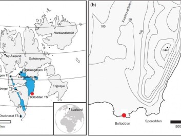 Boltodden is located on the southeast coast of Spitsbergen, about 100 km south-southeast of Longyearbyen, the island’s largest town. Other places where dinosaur tracks have been found are indicated with TS (track sites) on the map on the left. Festningen, just west of Longyearbyen, was the first location where dinosaur tracks were found in 1960. At the time it was a world sensation, because it was interpreted as evidence that dinosaurs could live in much colder regions. Now we know that continental plates move across the Earth's crust and that Spitsbergen was farther south and much warmer and wetter than it is today. (Figure: Journal of the Geological Society, London, doi: 10.1144, Creative Commons BY 3.0 license) Boltodden is located on the southeast coast of Spitsbergen, about 100 km south-southeast of Longyearbyen, the island’s largest town. Other places where dinosaur tracks have been found are indicated with TS (track sites) on the map on the left. Festningen, just west of Longyearbyen, was the first location where dinosaur tracks were found in 1960. At the time it was a world sensation, because it was interpreted as evidence that dinosaurs could live in much colder regions. Now we know that continental plates move across the Earth's crust and that Spitsbergen was farther south and much warmer and wetter than it is today. (Figure: Journal of the Geological Society, London, doi: 10.1144, Creative Commons BY 3.0 license)