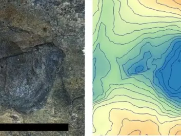 The tracks were photographed and converted into three-dimensional models (right). Here is the track from a forefoot that shows that this was not a carnivorous dinosaur. (Photo: Hans Arne Nakrem, Natural History Museum, University of Oslo)