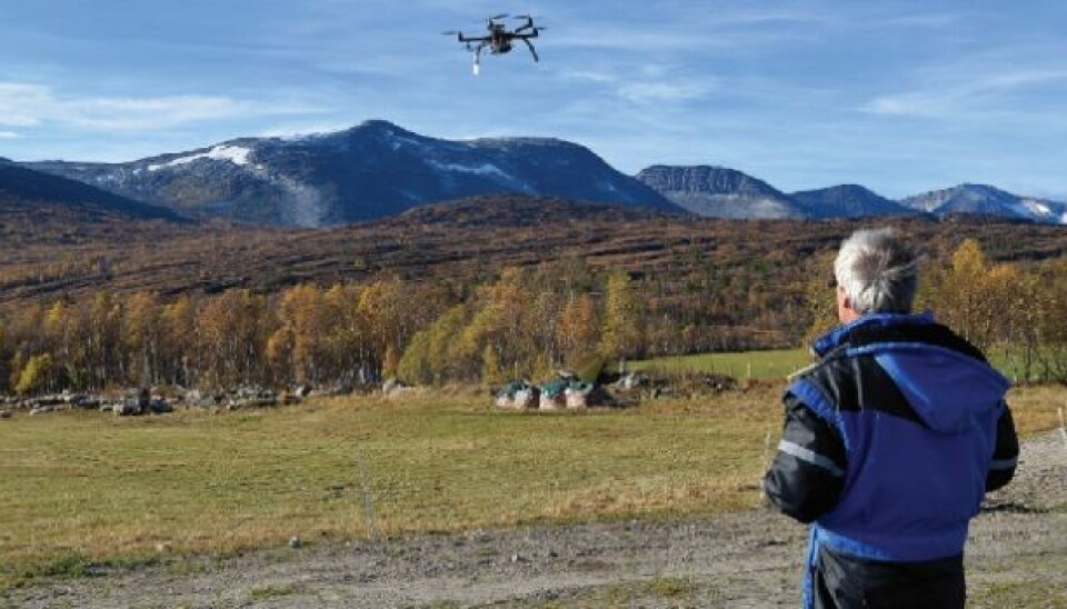 In October, Svein-Olaf Hvasshovd and his colleagues in the control systems group at NTNU completed a successful test using a drone to find lost sheep. (Photo: Morgan Frelsøy/OPP.no)