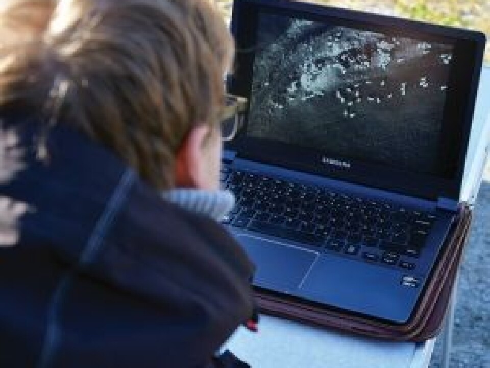 This heat-seeking camera was able to show the sheep on the screen. (Photo: Morgan Frelsøy/OPP.no)