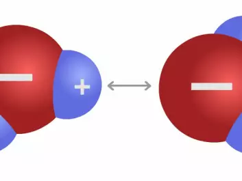 Two water molecules. The positive charge of hydrogen atoms attracts the negative charge of an oxygen atom. This is called a hydrogen bond and it causes both adhesion and cohesion in water. (Figure: Arnfinn Christensen)