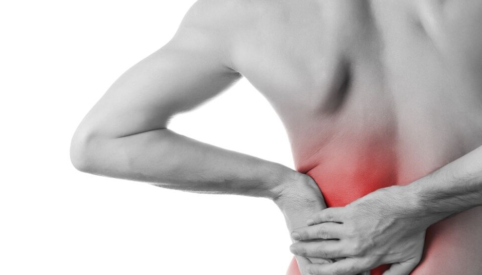 You can do a lot yourself to prevent or reduce back pain. Scientists now hope that the selfBACK project will make it easier to tackle the problem. (Photo: Colourbox.)