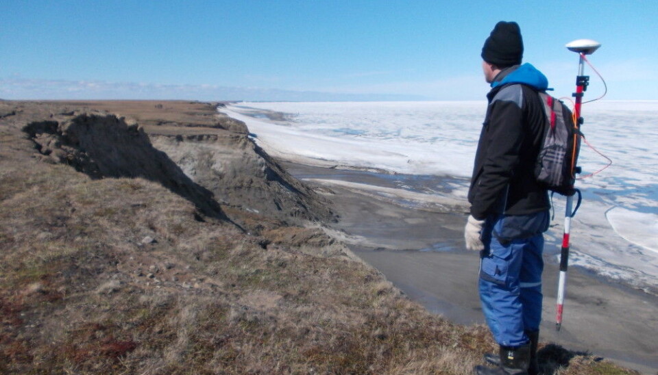 Researchers conducted a survey using GPS along the Baydaratkaya Bay coast to monitor the rate at which the cliffs are eroding and retreating from the sea. Some sites retreated several metres a year from thermal erosion. (Photo: Emilie Guegan)