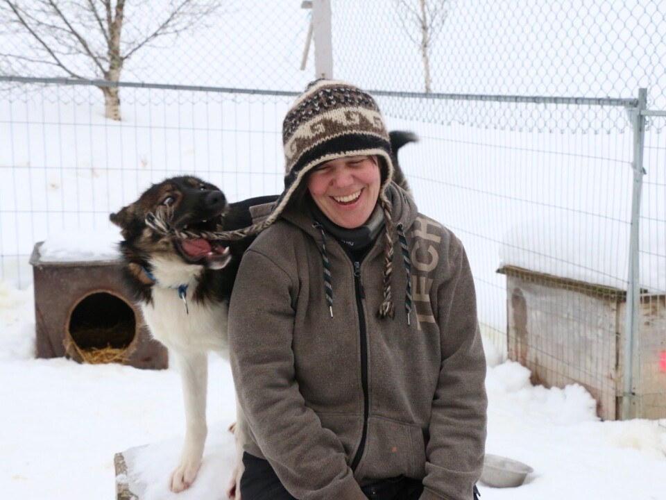Emilie Guegan has 12 sled dogs that she trains for long distance racing, including this playful puppy. (Photo: Nancy Bazilchuk)