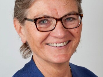 Professor of Psychology Agnes Andenæs has conducted interviews with male and female students of psychology to find out why they decided to become psychologists. (Photo: Tron Trondal, University of Oslo) Professor of Psychology Agnes Andenæs has conducted interviews with male and female students of psychology to find out why they decided to become psychologists. (Photo: Tron Trondal, University of Oslo)