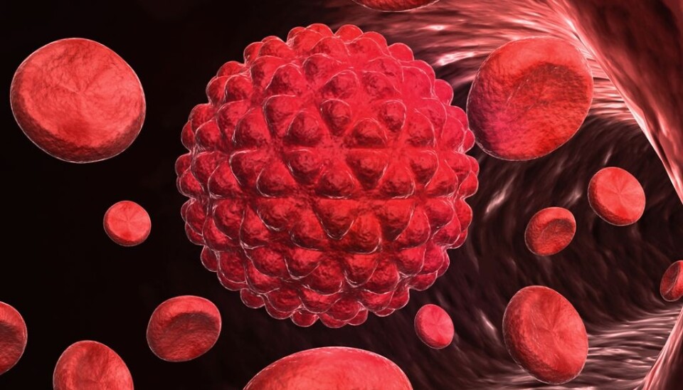 Cancer cells spread through blood vessel. They use a specific protein to penetrate tissue. (Photo: Colourbox)