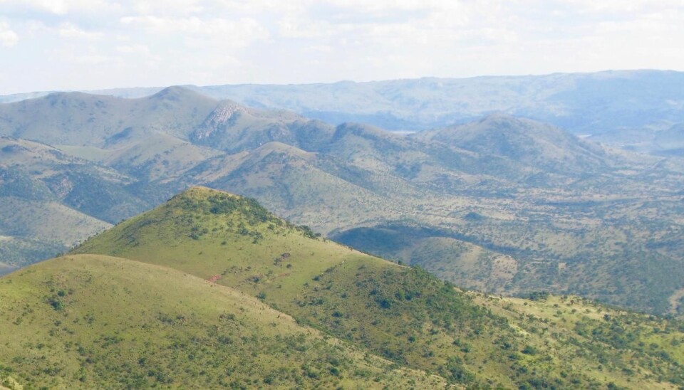 Most scientists believe that Earth’s climate was hot, 3.5 billion years ago. But new findings from South Africa suggest that it was much colder than scientists previously thought. (Photo: Harald Furnes.)