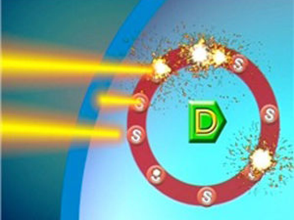 Illumination activates the photosensitiser in the membrane of endosomes in the cancer cell, inside which the drug is encapsulated (D). In this way, the membrane is destroyed and the drug is released. (Illustration: PCI Biotech)