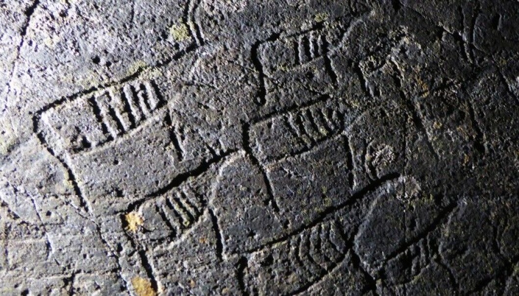 Forty-eight Stone Age petroglyphs include images of a reindeer herd, shown with all the animals moving in the same direction. It’s possible that the artist was trying to say that reindeer migrated this way 7,000 years ago. (Photo: Jan Magne Gjerde, Tromsø Museum - The University Museum) Forty-eight Stone Age petroglyphs include images of a reindeer herd, shown with all the animals moving in the same direction. It’s possible that the artist was trying to say that reindeer migrated this way 7,000 years ago. (Photo: Jan Magne Gjerde, Tromsø Museum - The University Museum)