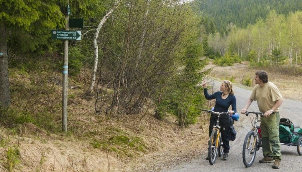 Can a dash of testosterone improve women’s wayfinding capabilities? A study at the Norwegian University of Science and Technology in Trondheim shows things to more complicated than that. The couple in the picture are trying to find the right route on a bicycle ride through Oslo’s Nordmarka woodlands. (Photo: Kai Jensen, NTB Scanpix) Can a dash of testosterone improve women’s wayfinding capabilities? A study at the Norwegian University of Science and Technology in Trondheim shows things to more complicated than that. The couple in the picture are trying to find the right route on a bicycle ride through Oslo’s Nordmarka woodlands. (Photo: Kai Jensen, NTB Scanpix)