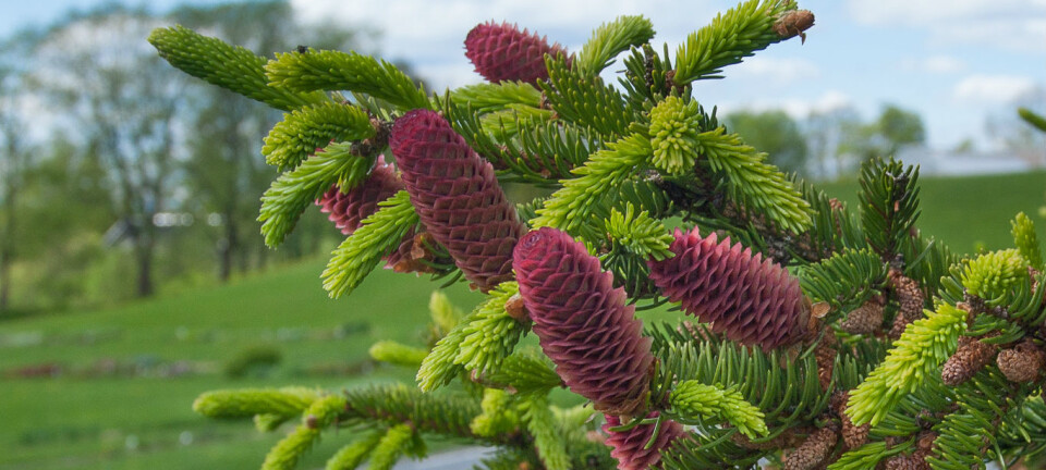 The survival of species suddenly looks better