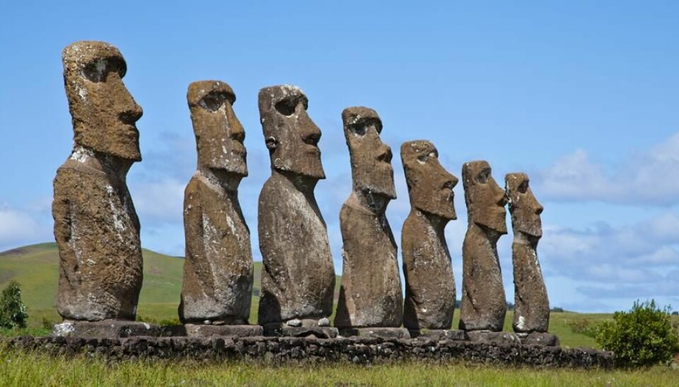 The inhabitants of Easter Island used so much of their island’s palm forest for erecting their impressive Moai statues that eventually they lacked wood for building houses and boats. (Photo: Colourbox)