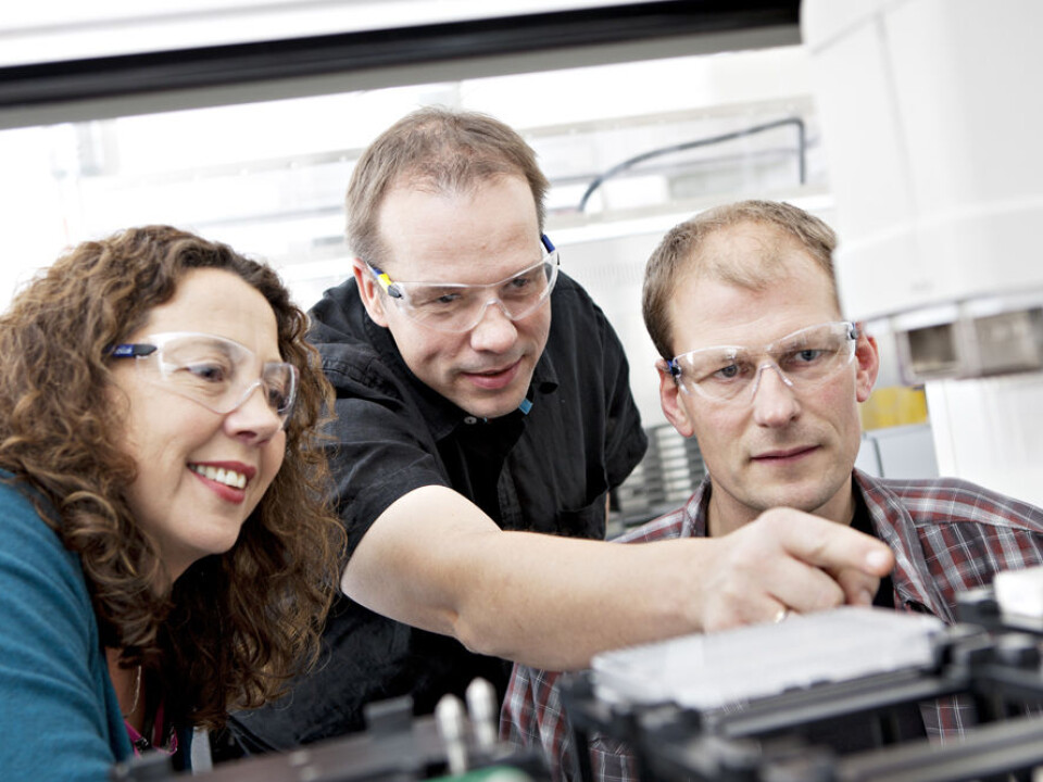 Marit Otterlei, Håvard Sletta and Per Bruheim have found 225 yeast mutants that are extra sensitive to chemotherapy. Now the trio is testing bacterial extracts from Trondheim Fjord, on both yeast cells and cancer cells from humans.(Photo: Geir Mogen)