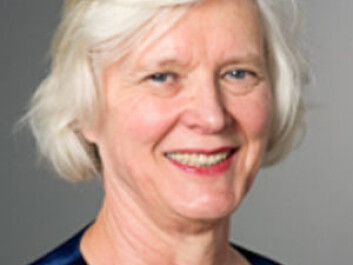 Britt Ingjerd Nesheim (Photo: University of Oslo) Britt Ingjerd Nesheim (Photo: University of Oslo)